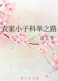 农家小子科举之路封面