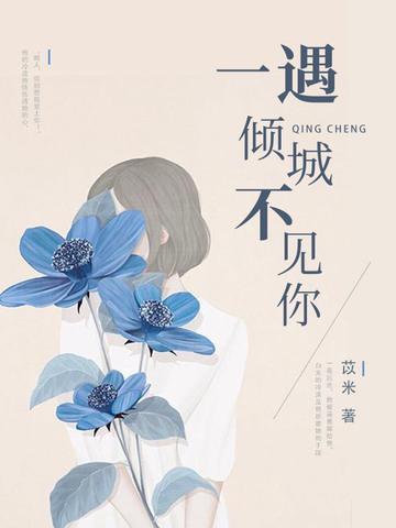 一遇倾城不见你封面