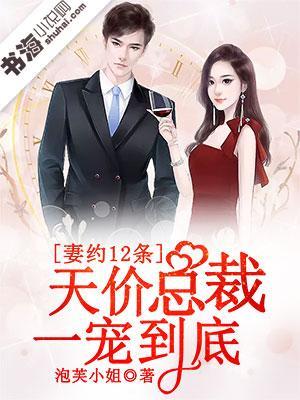 妻约12条，天价总裁一宠到底封面