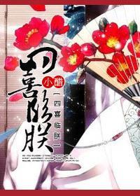 四喜临朕封面