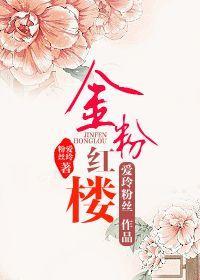 金粉红楼封面