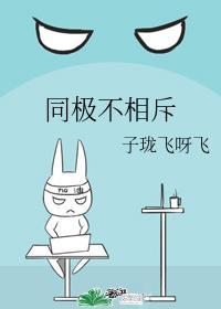 同极不相斥封面