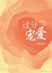 过分宠爱封面