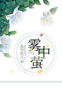 雾中萤封面