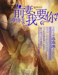 孽情③·前妻，我要你！封面