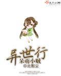 呆萌小贼异世行封面