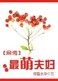 [网游]最萌夫妇封面