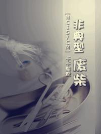 非典型废柴封面