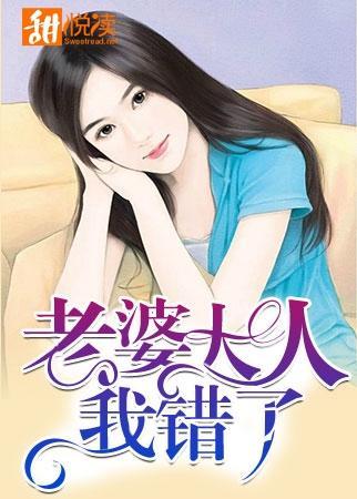 老婆大人我错了封面