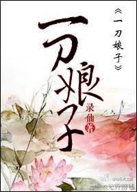 一刀娘子封面