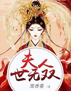 夫人世无双封面
