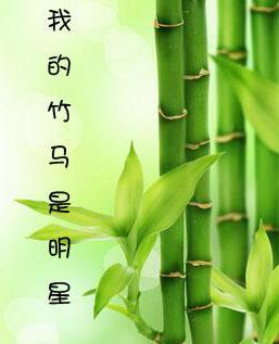 我的竹马是明星封面
