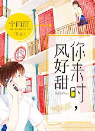 你来时，风好甜封面
