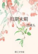 归期未期封面