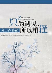 只为遇见，所以相逢封面