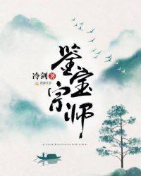 鉴宝宗师封面