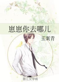 崽崽你去哪儿封面