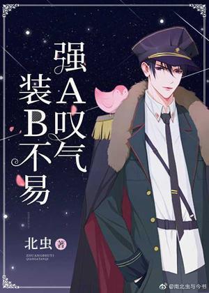 装B不易，强A嘆气封面