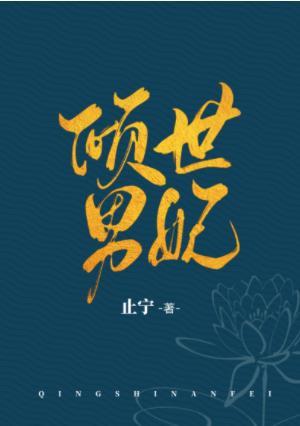 倾世男妃封面