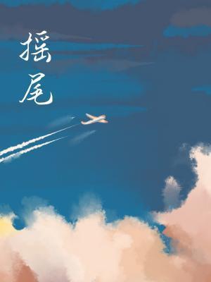 摇尾封面