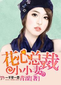 花心总裁小小妻封面