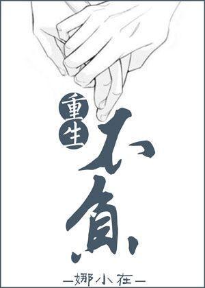 重生不负封面