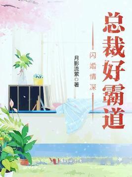 闪婚情深，总裁好霸道封面