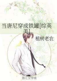 当唐尼穿成铁罐[综英美]封面