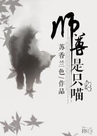 师尊是只喵封面