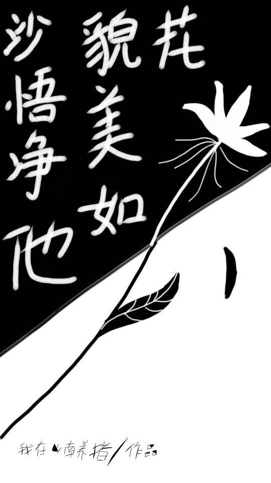 沙悟凈他貌美如花封面