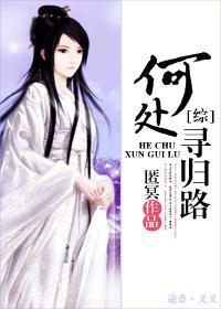 [综]何处寻归路封面
