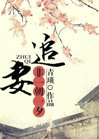 追妻，非一朝一夕封面