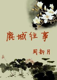 鹿城往事封面
