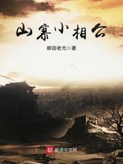山寨小相公封面