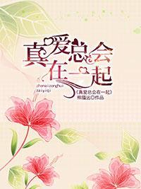 真爱总会在一起封面