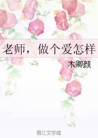 老师，做个爱怎样封面