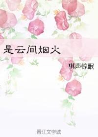 是云间烟火封面