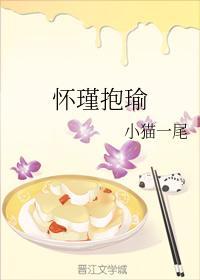 怀瑾抱瑜封面