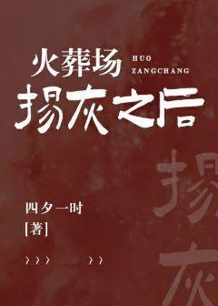 火葬场扬灰之后封面