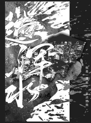 趟浑水封面