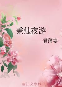 秉烛夜游封面