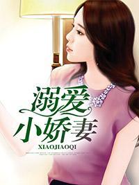 溺爱小娇妻封面