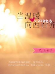 当温暖向西看齐封面