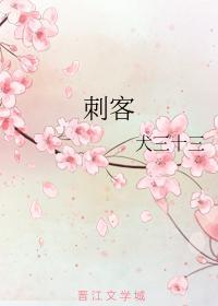刺客封面