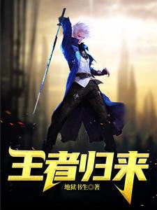 无敌废婿封面