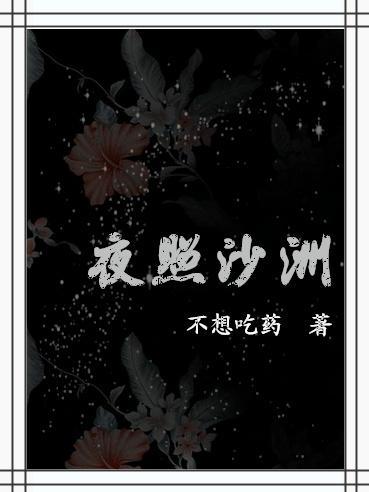 夜照沙洲封面
