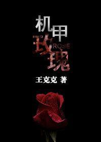 机甲玫瑰封面