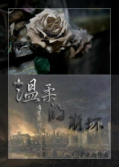 温柔的崩坏封面