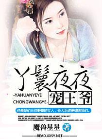 丫鬟夜夜宠王爷封面