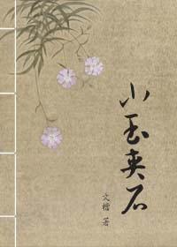 小玉夹石封面